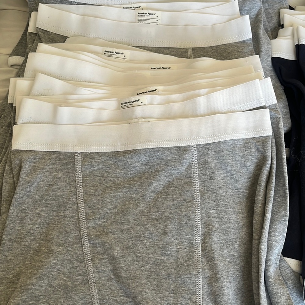 American apparel boxer brief shorts